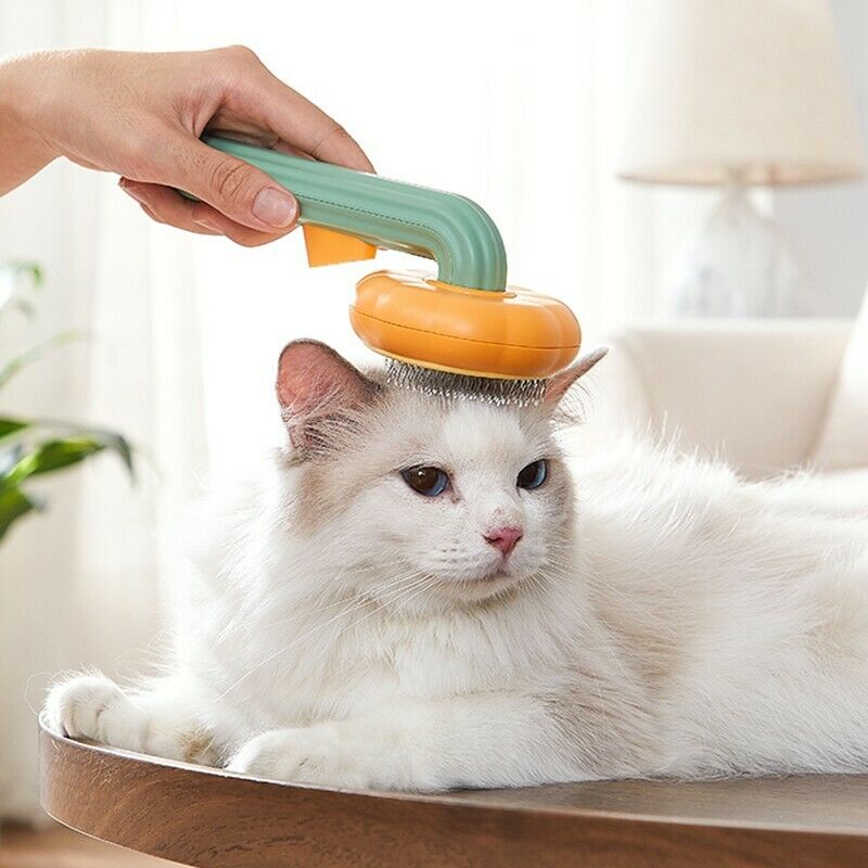 Brosse de toilettage autonettoyante pour animaux de compagnie, pour chiens, chats, chiots, lapins